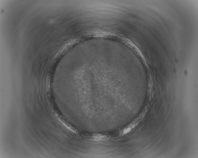 X0000085260257200703231723