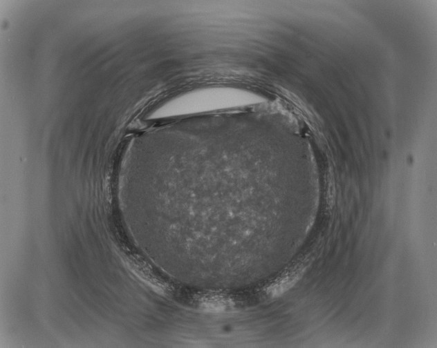 X0000085260258200703231723