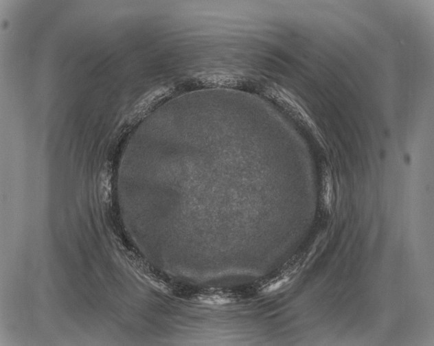 X0000085260259200703231723