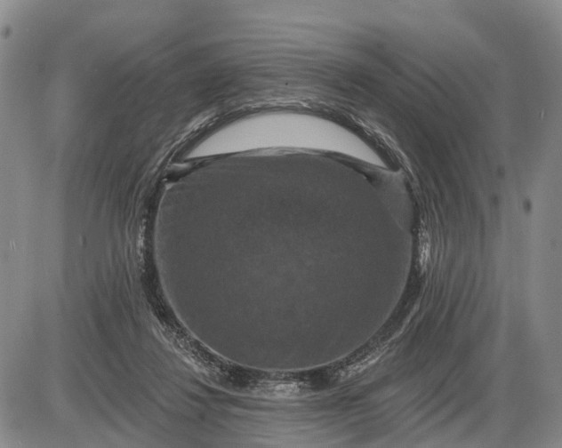 X0000085260260200703231723