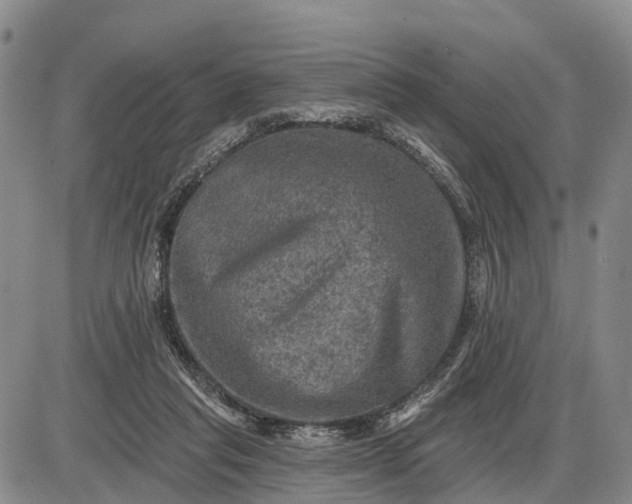 X0000085260261200703231723