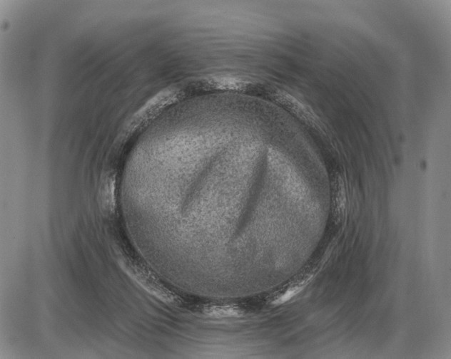 X0000085260262200703231723