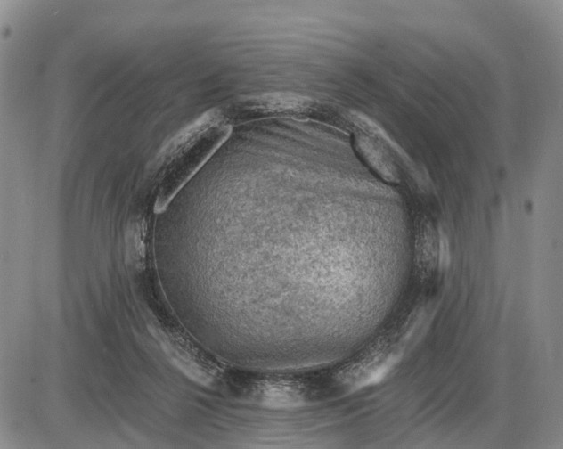 X0000085260264200703231723