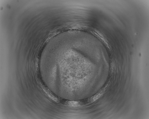 X0000085260265200703231723