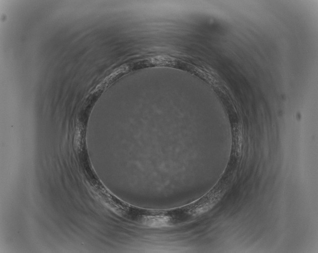 X0000085260266200703231723