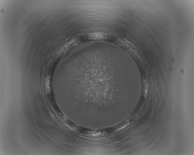 X0000085260267200703231723