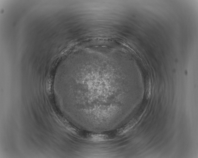 X0000085260268200703231723