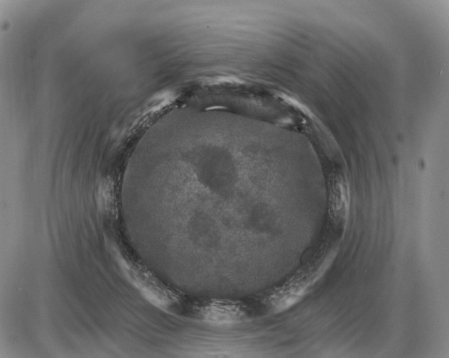 X0000085260270200703231723