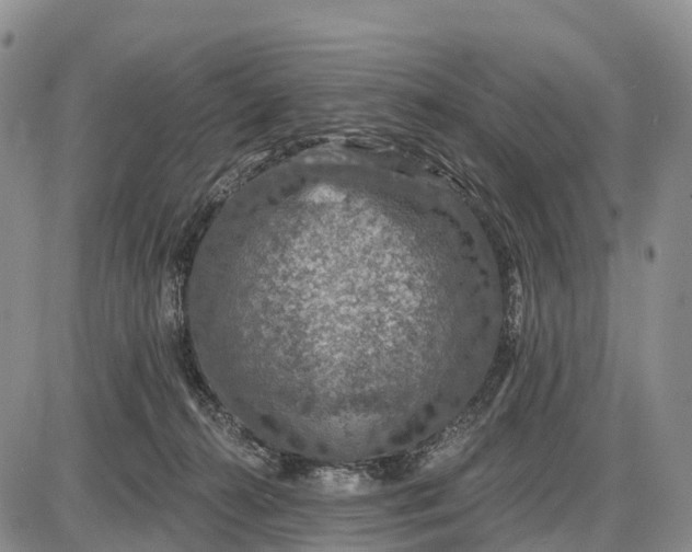 X0000085260272200703231723