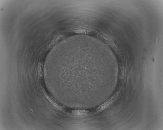 X0000085260273200703231723