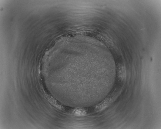 X0000085260275200703231723