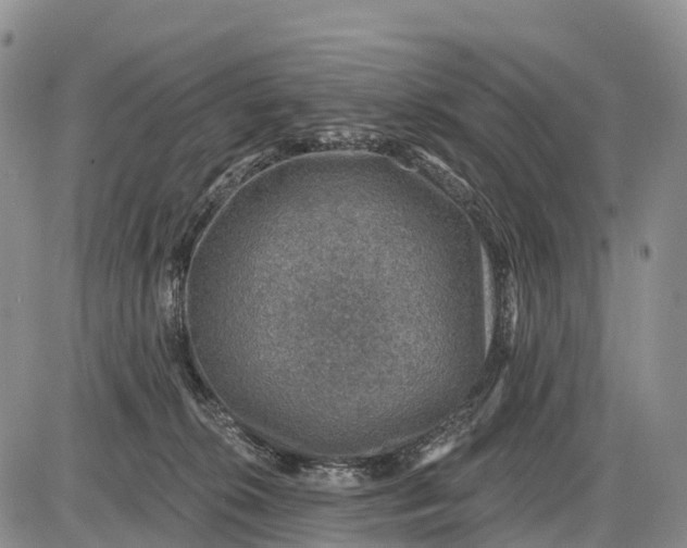 X0000085260276200703231723