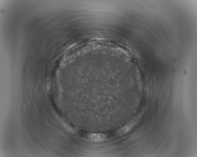 X0000085260277200703231723