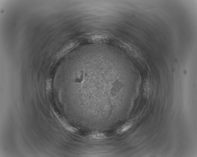 X0000085260278200703231723