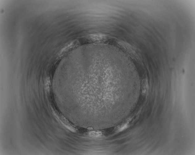 X0000085260279200703231723