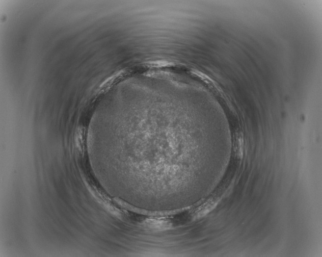 X0000085260280200703231723