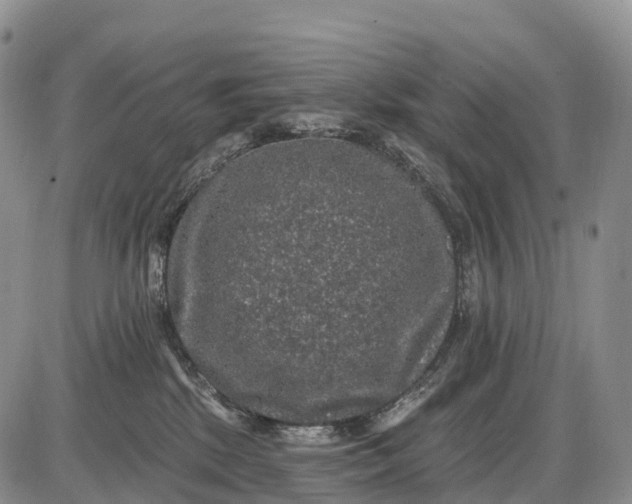 X0000085260281200703231723