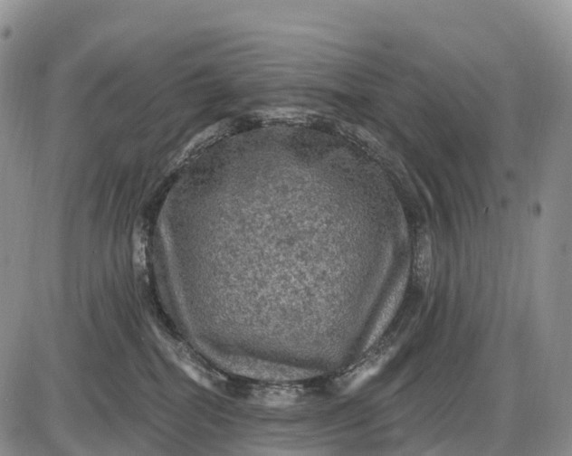 X0000085260282200703231723