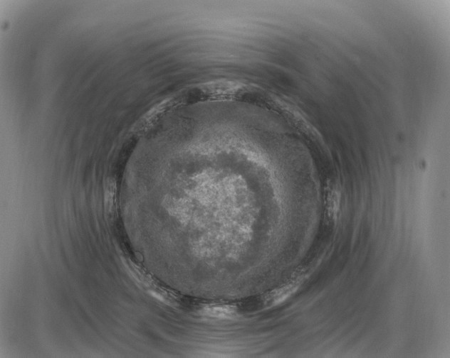 X0000085260283200703231723