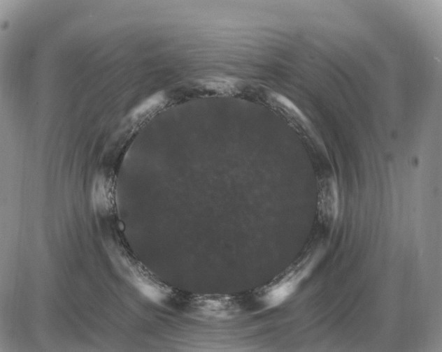 X0000085260285200703231723