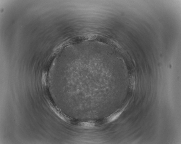 X0000085260286200703231723