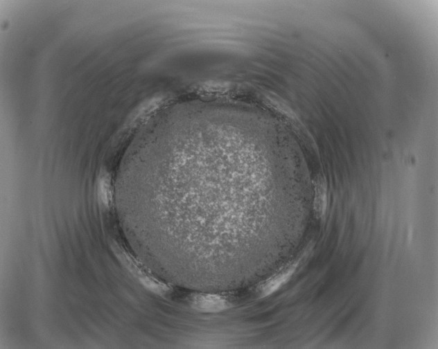 X0000085260287200703231723