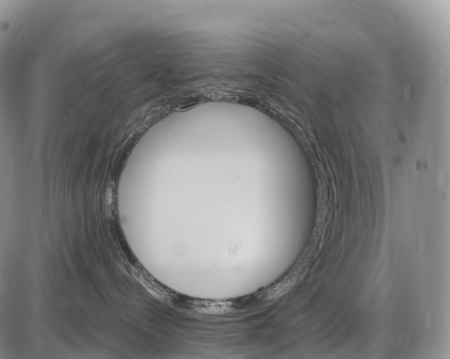 X0000085260288200703231723