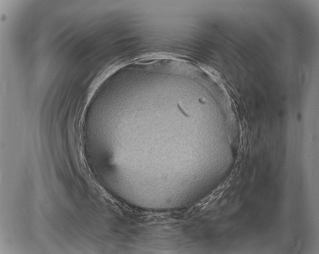 X0000085260289200703231722