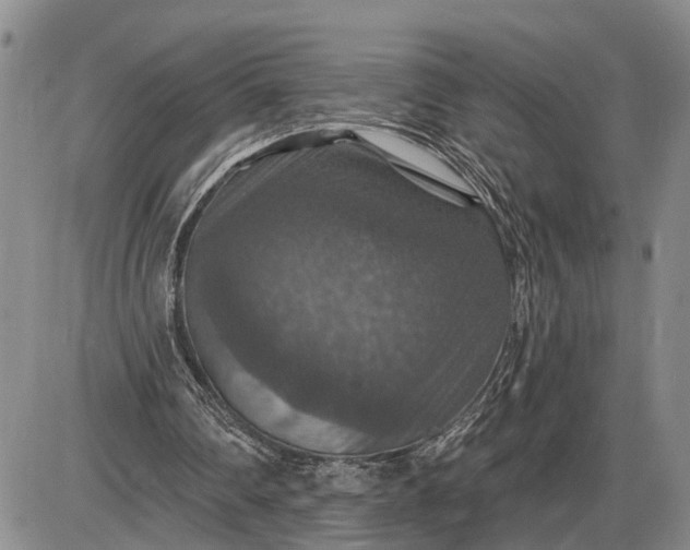 X0000085260290200703231722