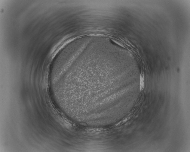 X0000085260291200703231722