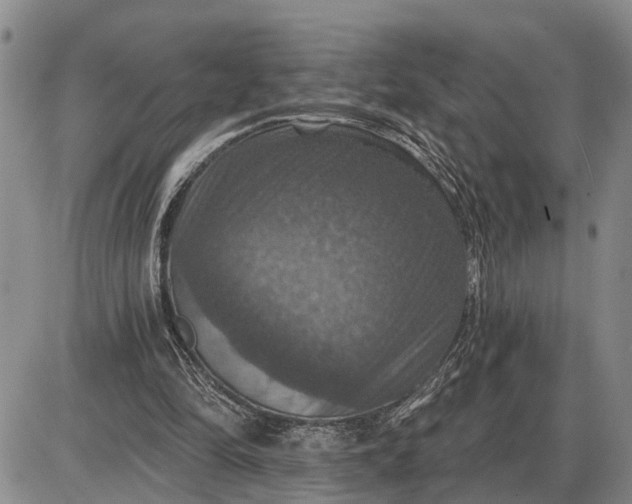 X0000085260294200703231722