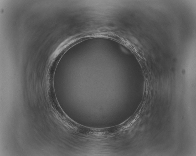 X0000085260295200703231722