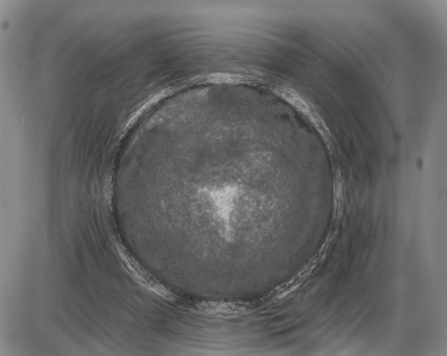 X0000085260297200703231722