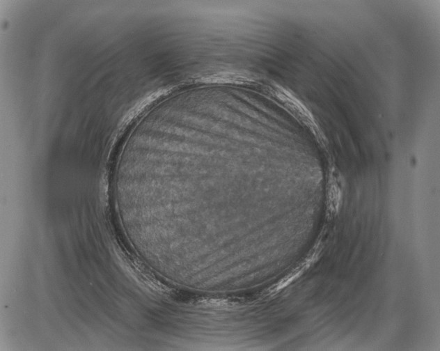 X0000085260298200703231722