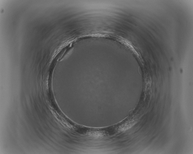 X0000085260299200703231722