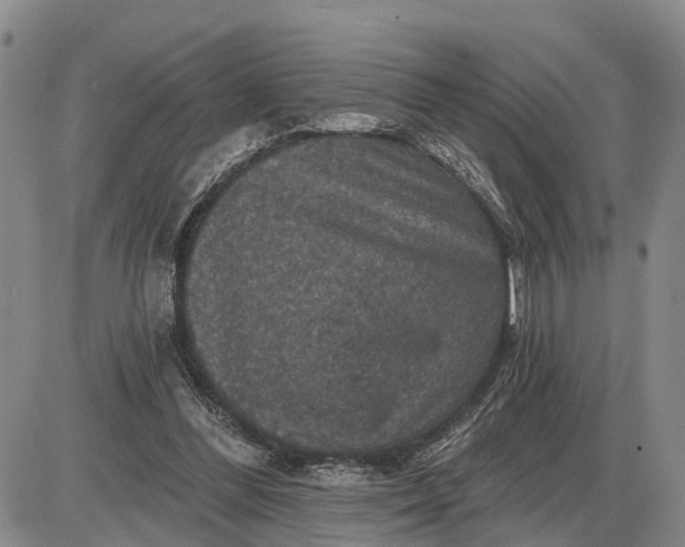 X0000085260300200703231722