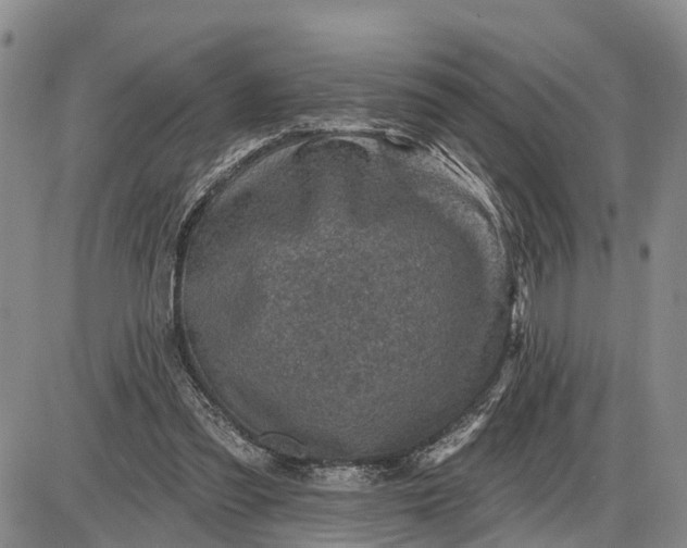 X0000085260301200703231722