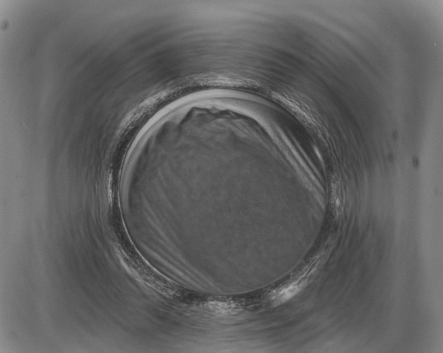 X0000085260302200703231722