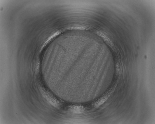 X0000085260304200703231722