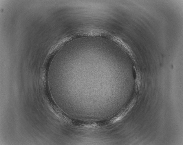 X0000085260306200703231722