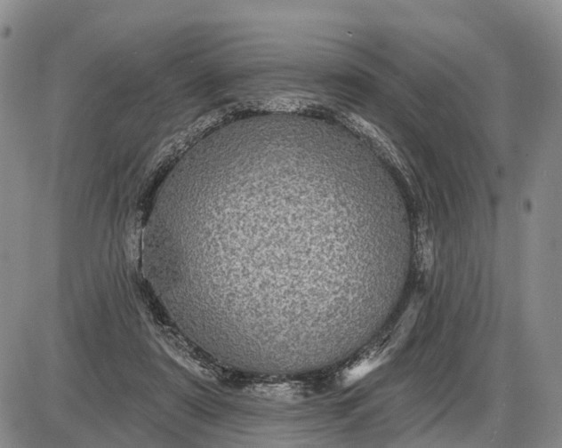 X0000085260307200703231722