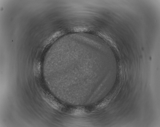 X0000085260308200703231722