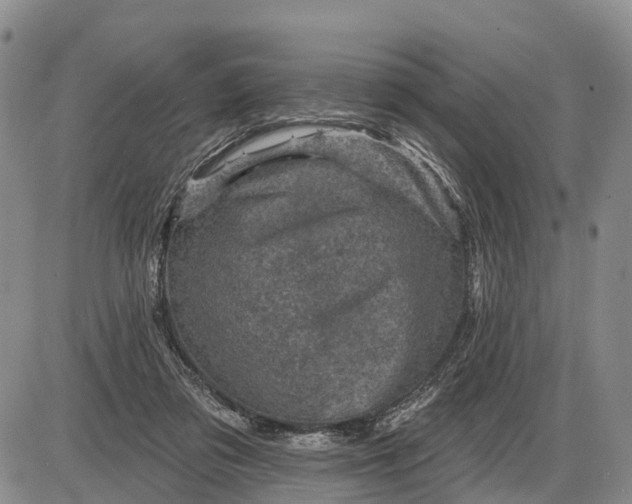 X0000085260309200703231722