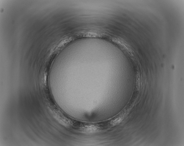 X0000085260310200703231722