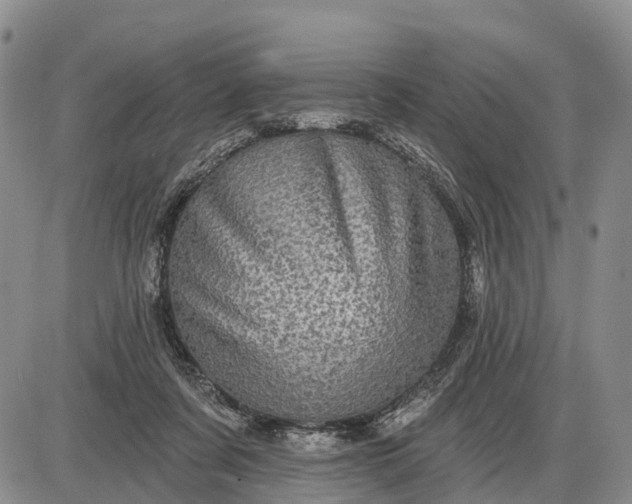 X0000085260311200703231722