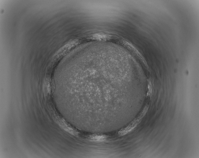 X0000085260313200703231722