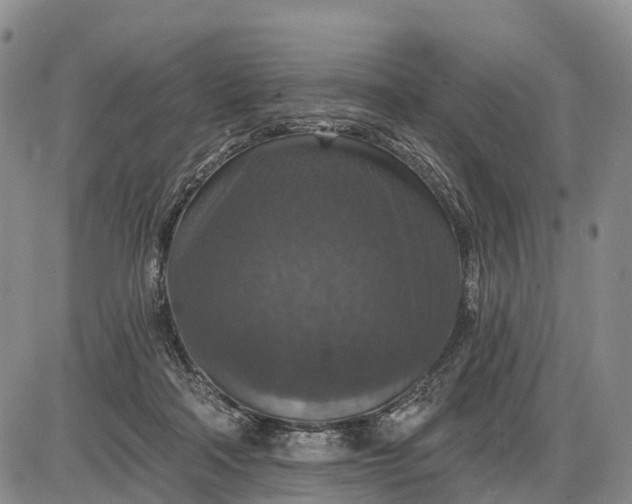 X0000085260314200703231722