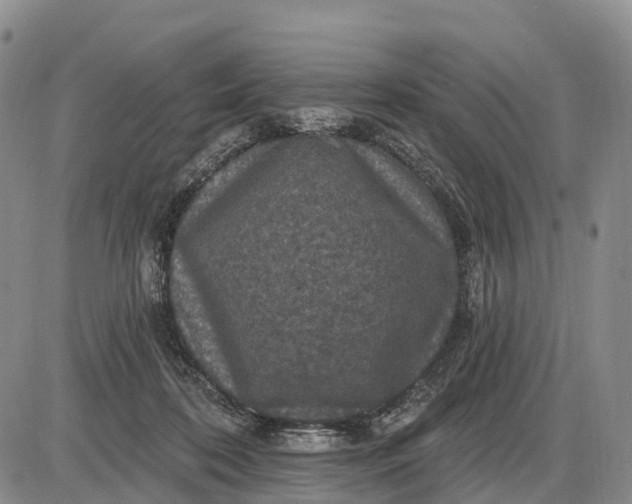 X0000085260316200703231722