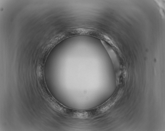 X0000085260317200703231722