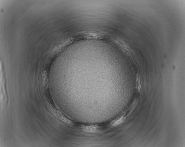 X0000085260318200703231722